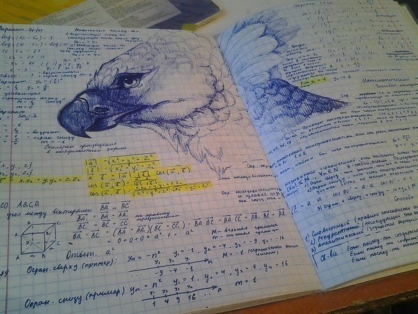 Подборка интересных и веселых картинок