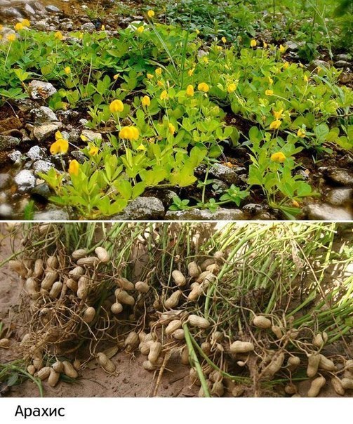 Интересные и веселые картинки