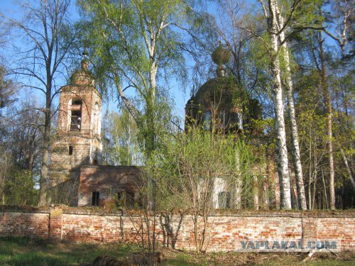 Хорошо иметь домик в деревне. История из жизни.