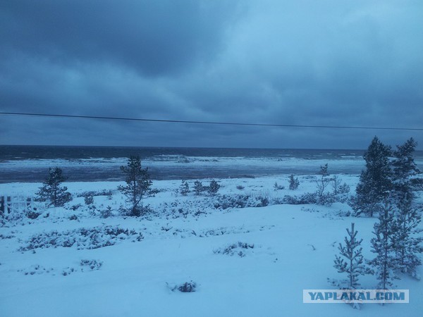 Самодельная компактная дровяная печка