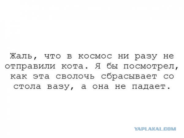 Юмор не для всех