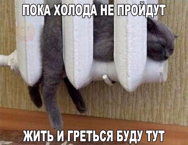 Весёлые картинки 30.11.2016