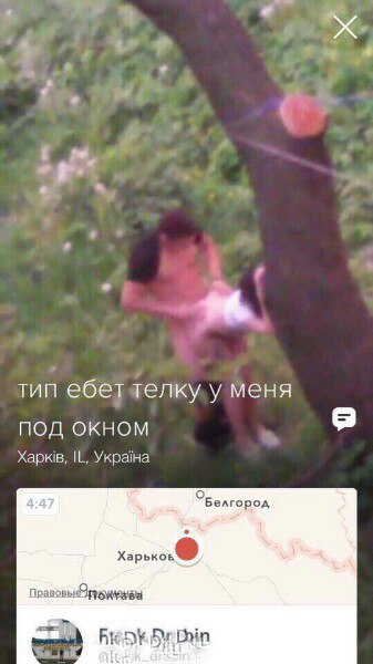 Ужасы и приколы из соцсетей 18+