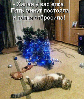 Картинки из ваших интернетов
