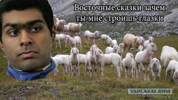 Вот такие проблемы у беженцев в Швеции..