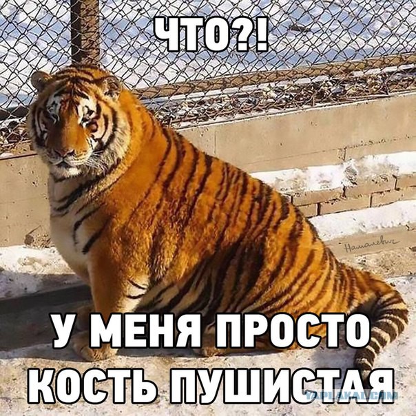 Подборка интересных и веселых картинок