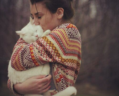 Коты и Кошки