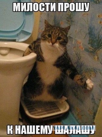 Немного позитива