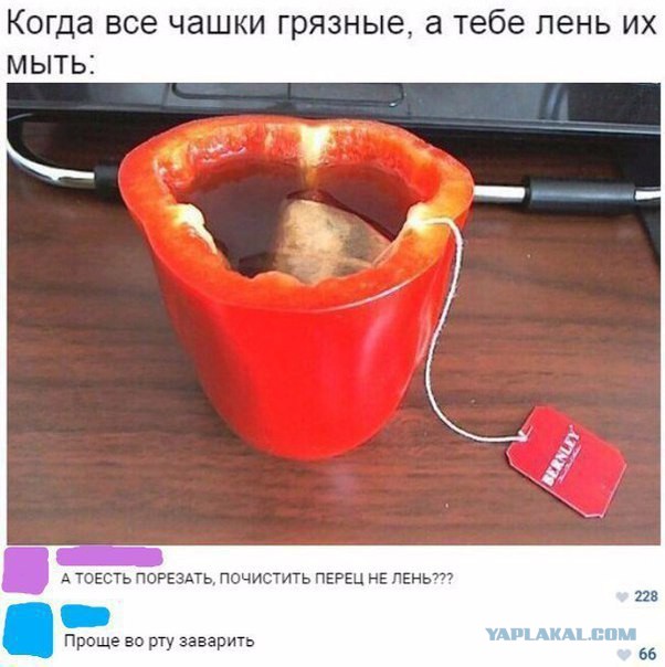 Смешные комментарии из социальных сетей 18.08.2017