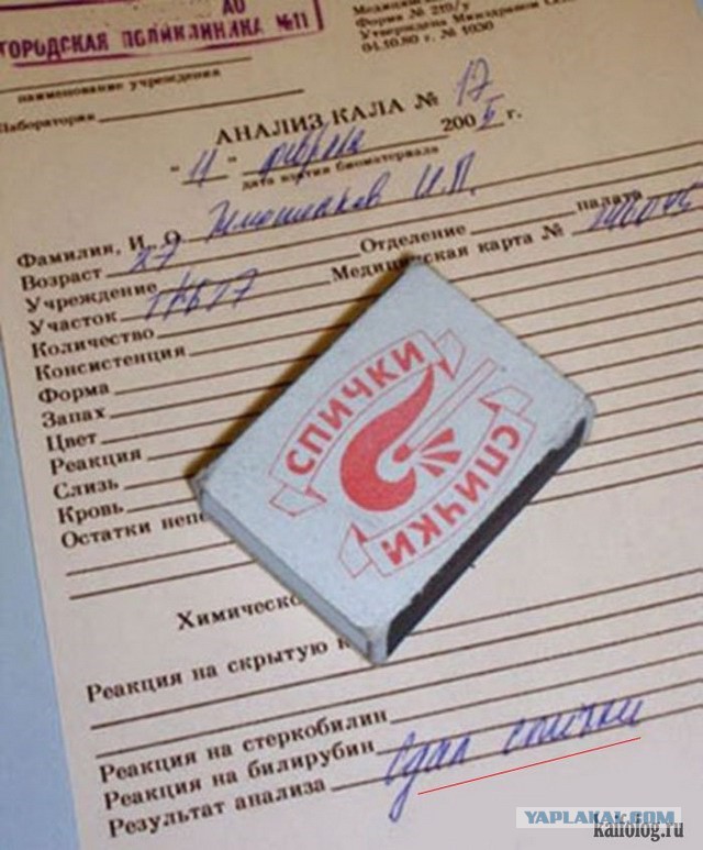 Красную дорожку забросали фекалиями на премьере "Матильды" в Петербурге