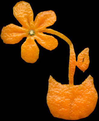 Апельсиновый креатив (26 фото)