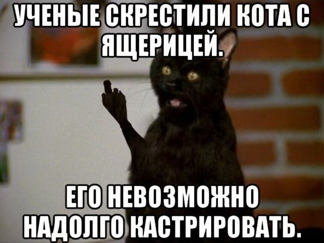 Подборка интересных и веселых картинок