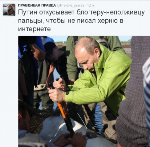 В Петербурге автор поста «ВКонтакте» получил два года строгого режима за унижение чиновников
