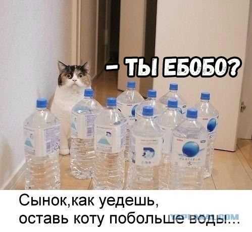 Чёрненькая деградация к выходным. Ура!