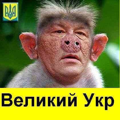 Итоги проверки пользователей