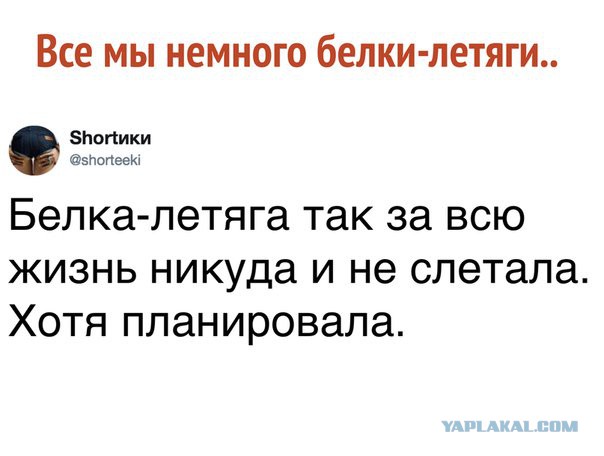 Смешные комментарии из социальных сетей 13.07.2018