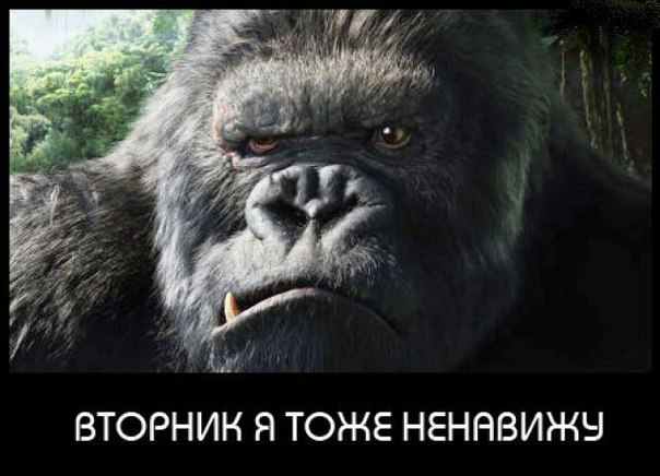 Специфический юмор