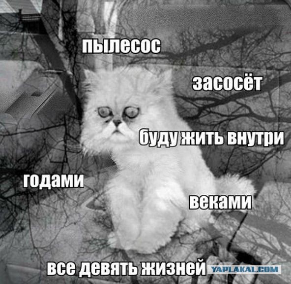 Чаёк с тортиком