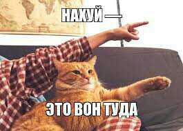 Кого звать, если...