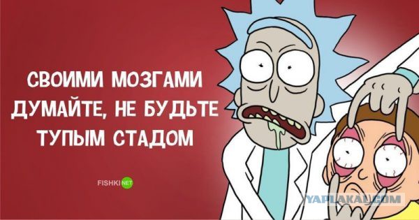 Не знал, кого тормознул