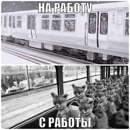 Немного картинок для настроения