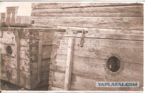 Жесткая Азия. Казни и наказания