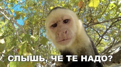 Мужчина не трус! Просто ты ему не нужна!