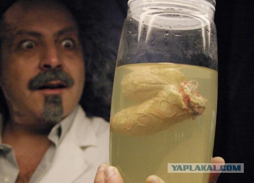 “Война за ухо Дженкинса или 300 спартанцев наоборот”.