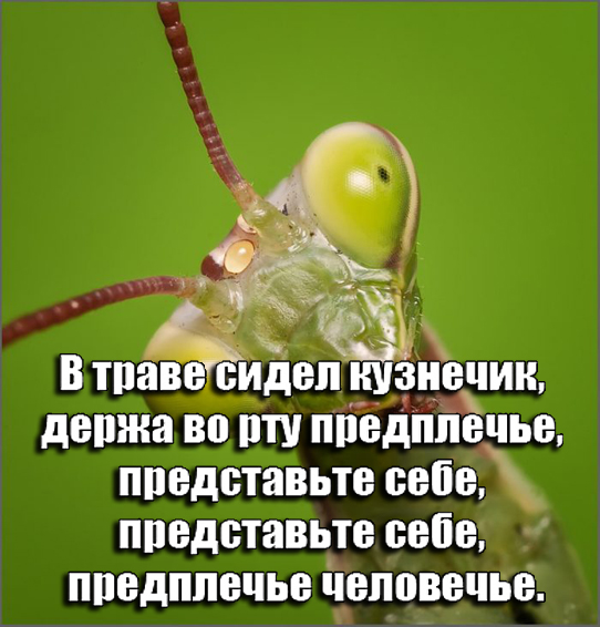 Чавкнула бездна