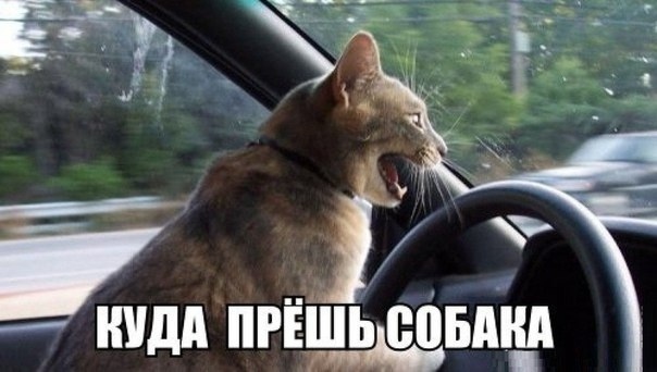 Так себе картинки 07.05.20
