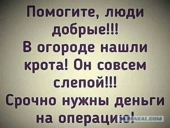 Чуток картинок не про вирус 24.0 Просто поржать
