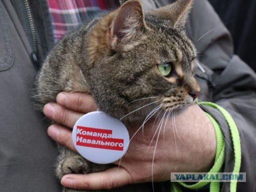 Если не Путин... Политоты пост