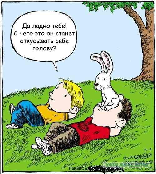 Смотрим на облака вместе