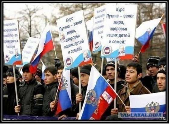 Накипело... на статью!