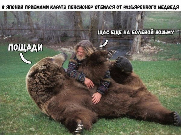 Медвежий уголок
