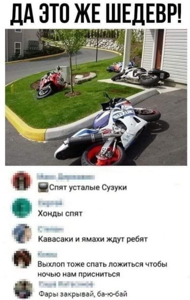 Бредзона 23.11.20