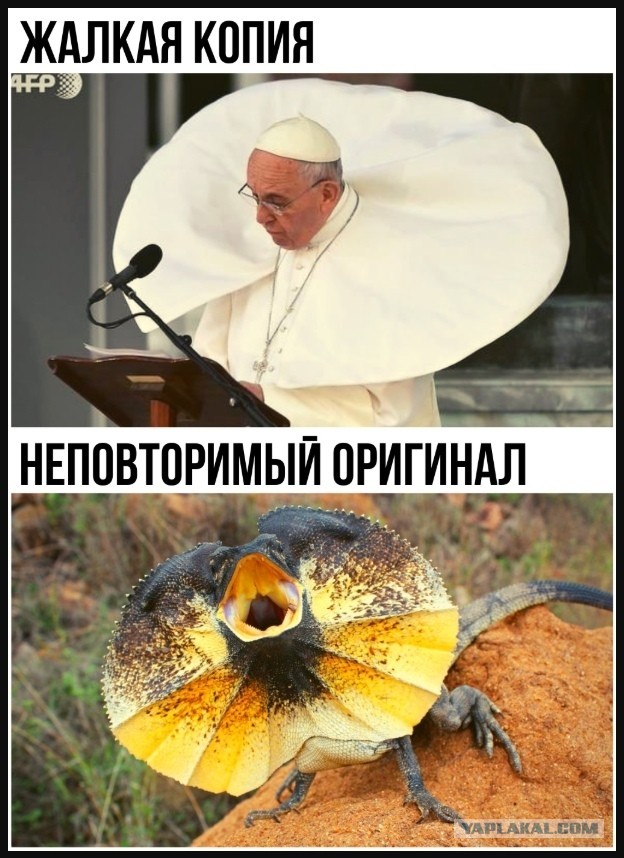 В разводе всегда виновата женщина