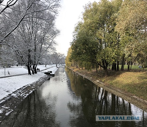 Прикольные и просто красивые картинки 02.12.2020