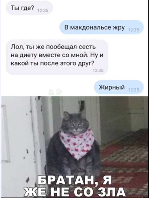 Картинки и мемы для настроения 023