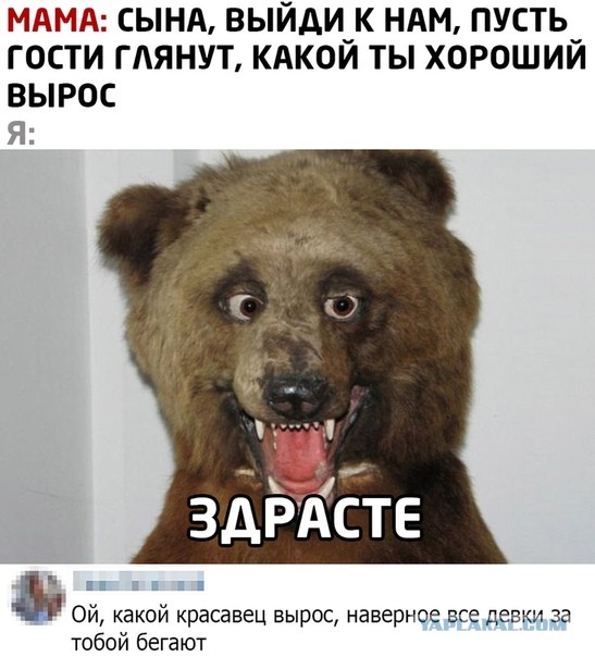 Бредзона 30.03.21