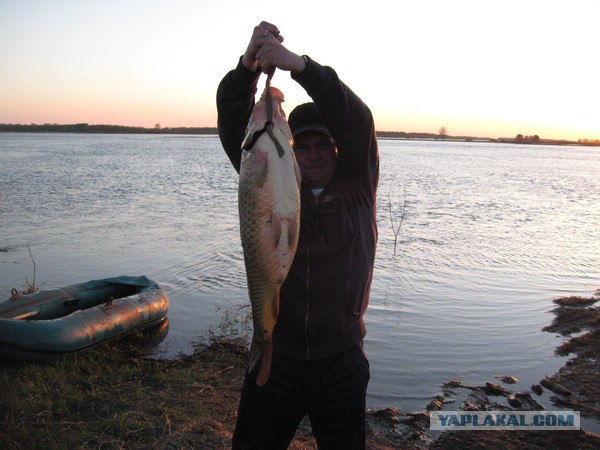 Нежданный трофей, во время соревнований