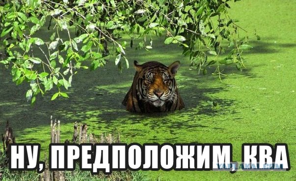 Как так? Vol.2