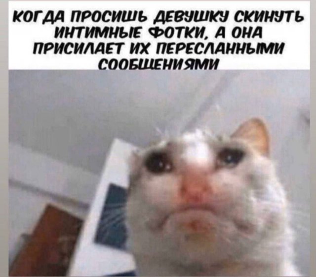 Картинки и мемы для настроения 025
