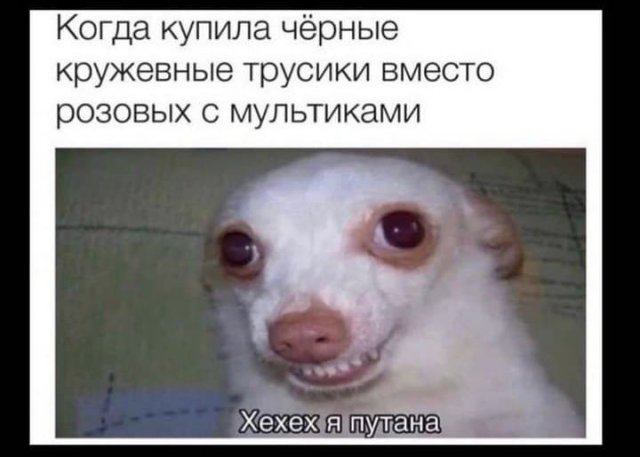 Баянисто-небаянистый юмор 15.06.21