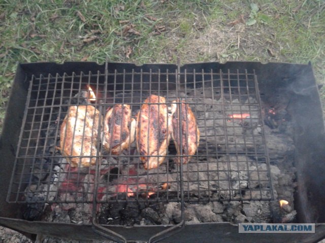 Дача, грибы, мясо, овощи.