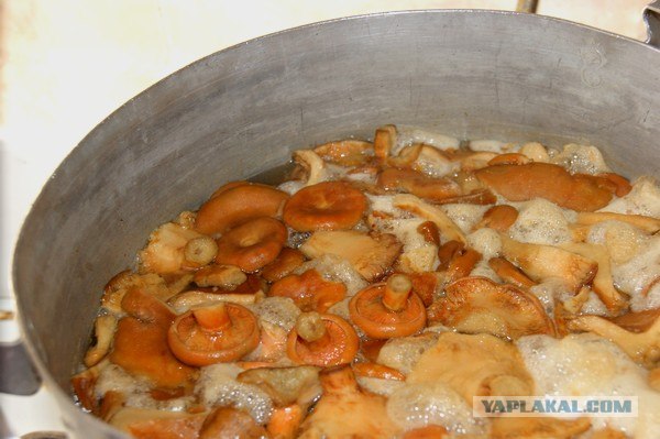 Осень в банках