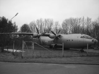 Самолет в лесу (11 фото)