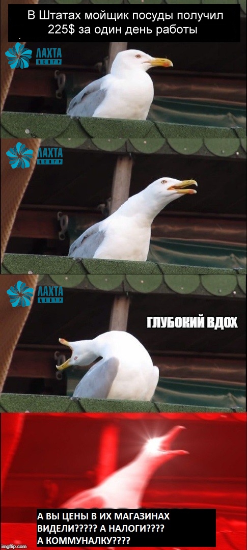 Один день мойщика посуды в США