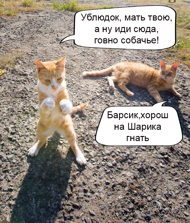 Так себе картинки 08.11.21