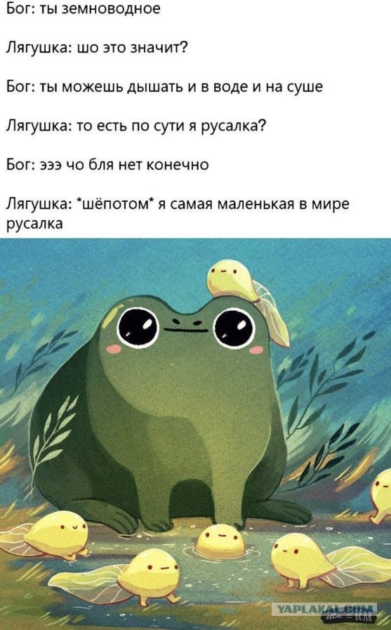 Так себе картинки 12.11.21